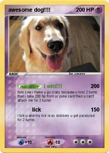 Pokemon awesome dog!!!!