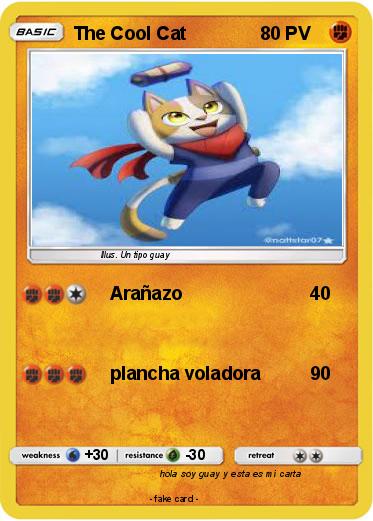 Pokemon The Cool Cat