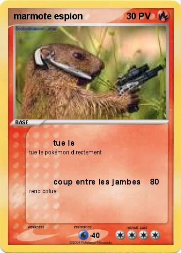 Pokemon marmote espion