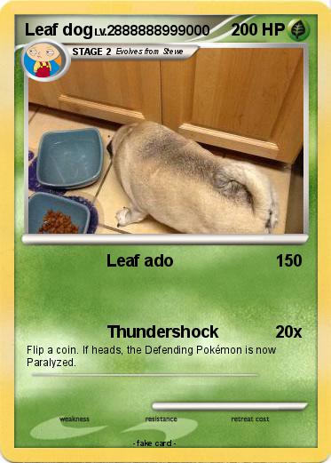 Pokemon Leaf dog