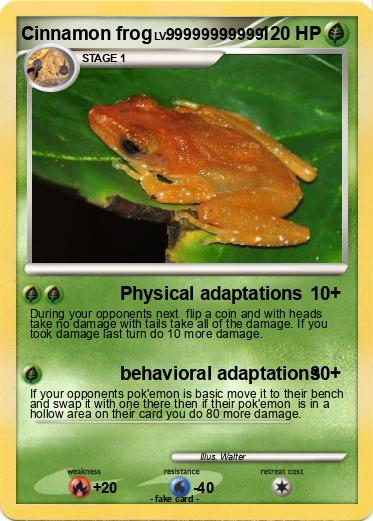 Pokemon Cinnamon frog