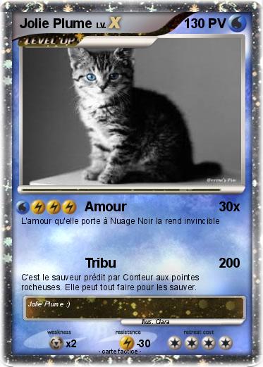 Pokemon Jolie Plume