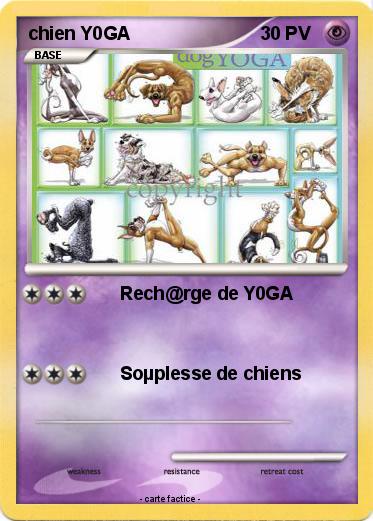 Pokemon chien Y0GA