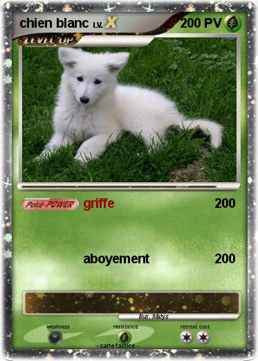 Pokemon chien blanc