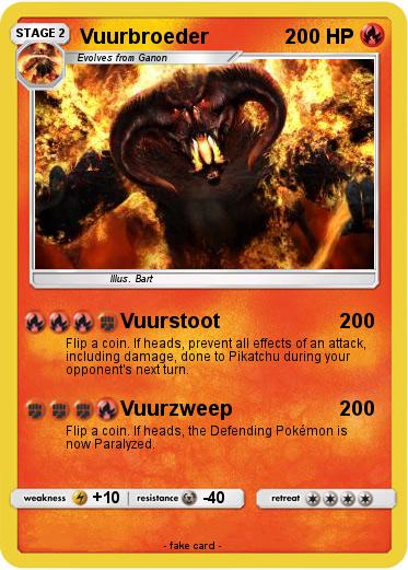 Pokemon Vuurbroeder