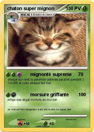 Pokemon chaton super mignon