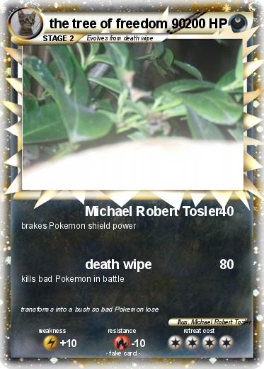 Pokemon the tree of freedom 90