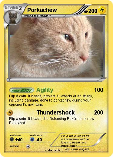 Pokemon Porkachew