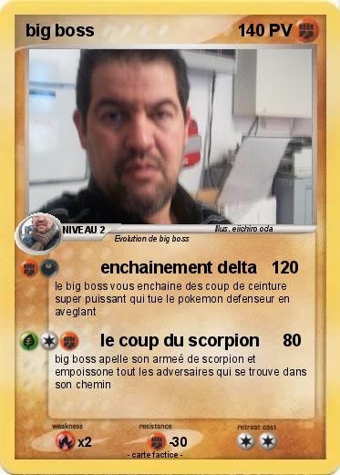 Pokemon big boss