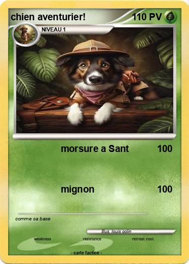 Pokemon chien aventurier!
