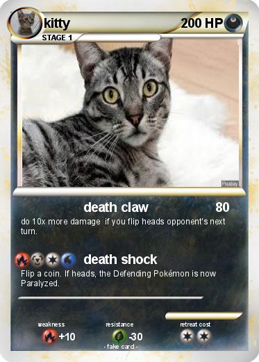 Pokemon kitty
