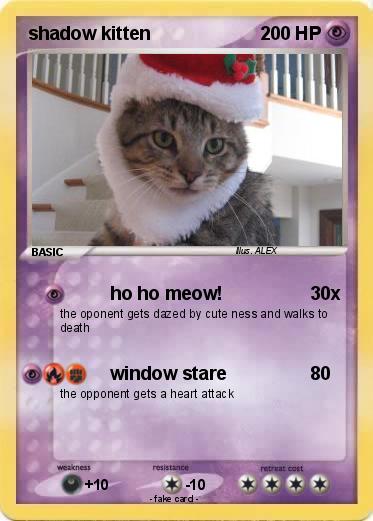 Pokemon shadow kitten