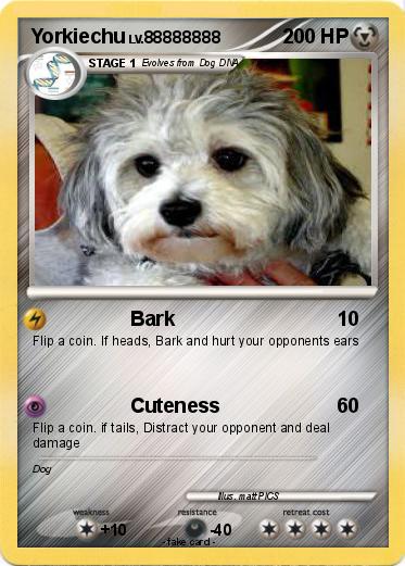 Pokemon Yorkiechu