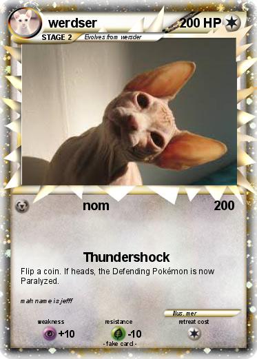 Pokemon werdser