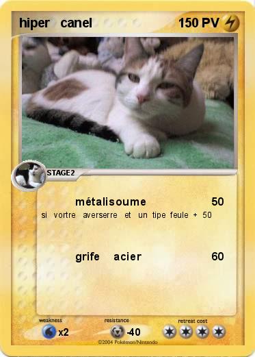 Pokemon hiper   canel