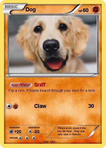 Pokemon Dog