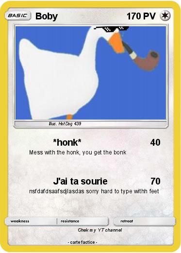 Pokemon Boby