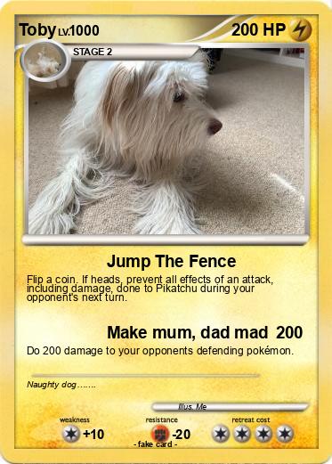 Pokemon Toby