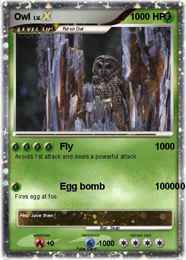 Pokemon Owl