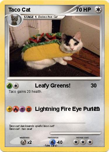 Pokemon Taco Cat