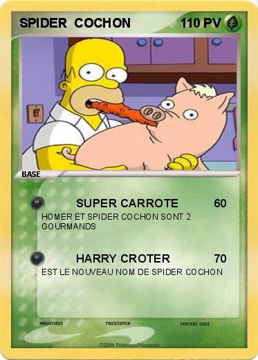 Pokemon SPIDER  COCHON