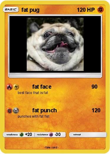 Pokemon fat pug