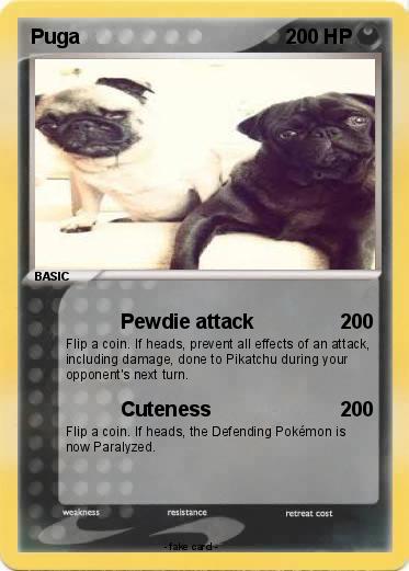 Pokemon Puga