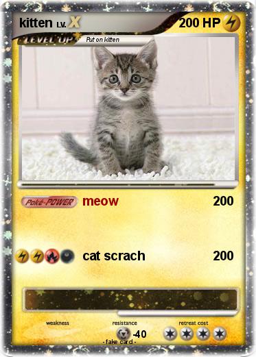 Pokemon kitten