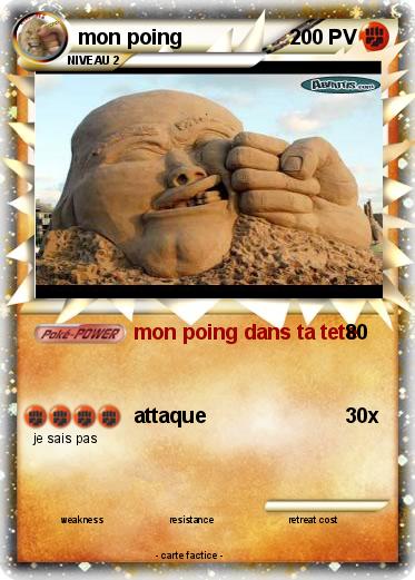 Pokemon mon poing