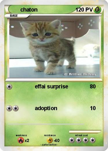 Pokemon chaton