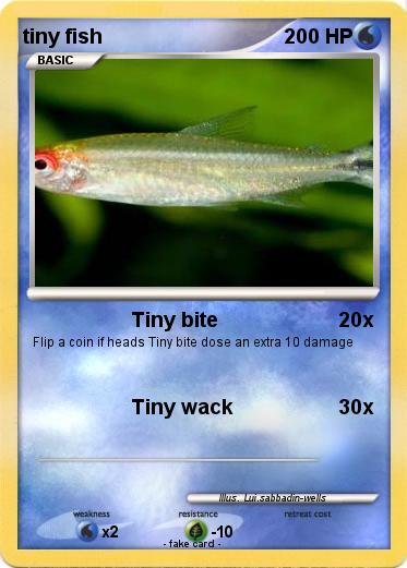 Pokemon tiny fish