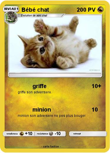 Pokemon Bébé chat
