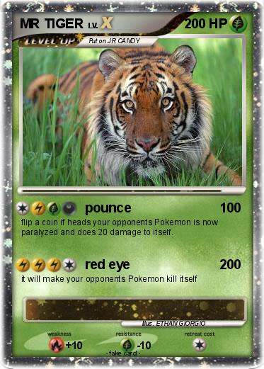 Pokemon MR TIGER