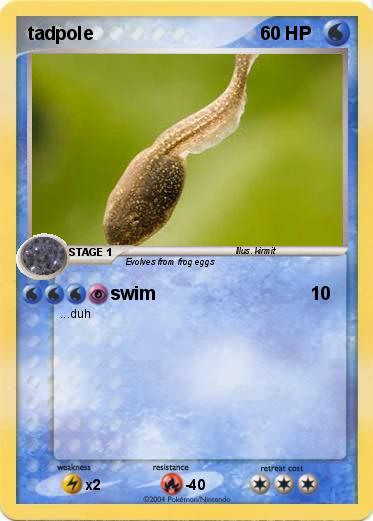 Pokemon tadpole