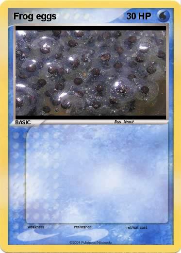 Pokemon Frog eggs