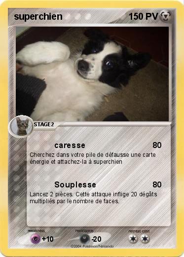 Pokemon superchien
