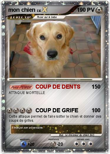 Pokemon mon chien