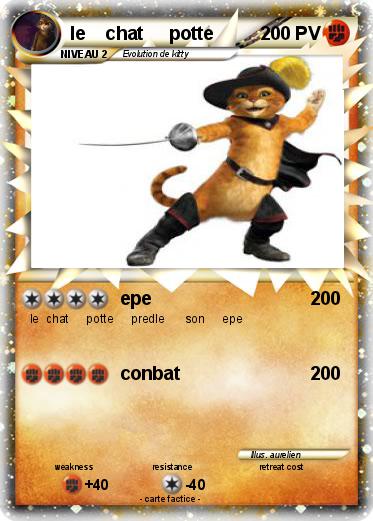 Pokemon le    chat     potte