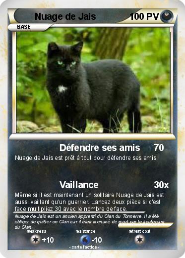 Pokemon Nuage de Jais