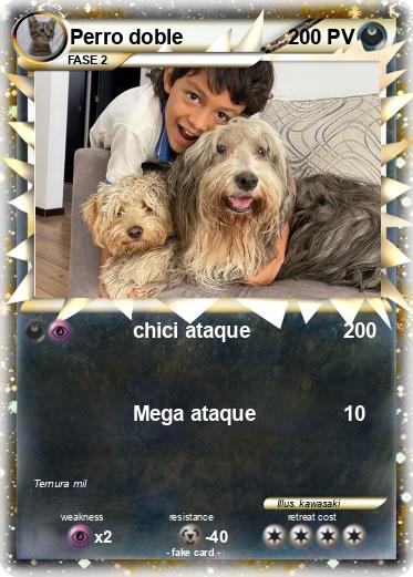 Pokemon Perro doble
