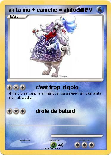 Pokemon akita inu + caniche = akitoodle
