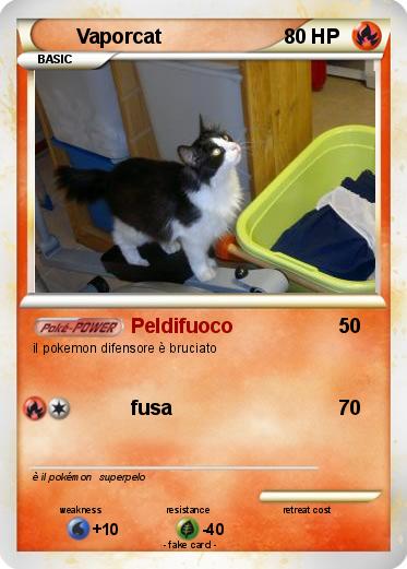 Pokemon Vaporcat