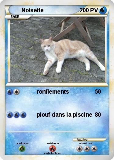 Pokemon Noisette