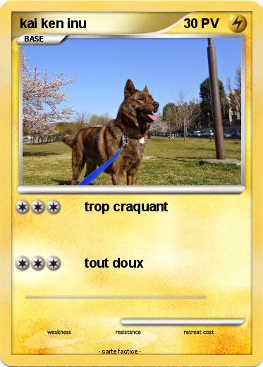 Pokemon kai ken inu
