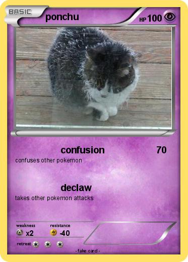 Pokemon ponchu