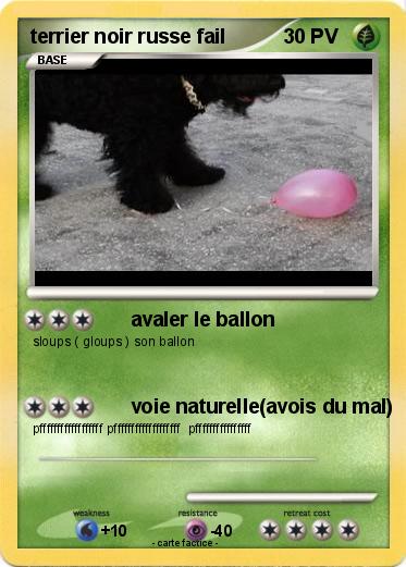 Pokemon terrier noir russe fail