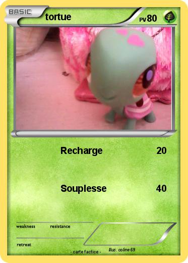Pokemon tortue