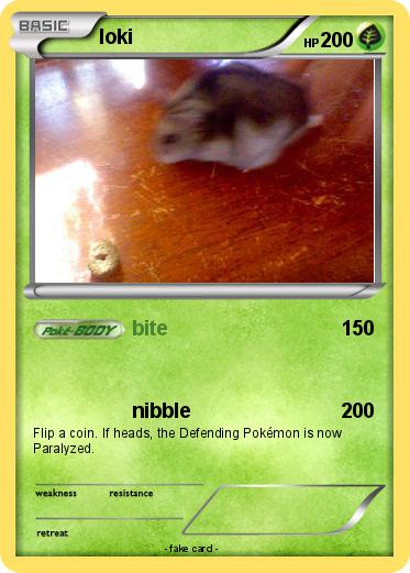 Pokemon loki