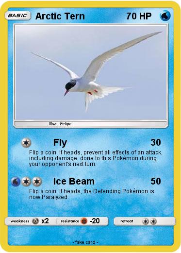 Pokemon Arctic Tern
