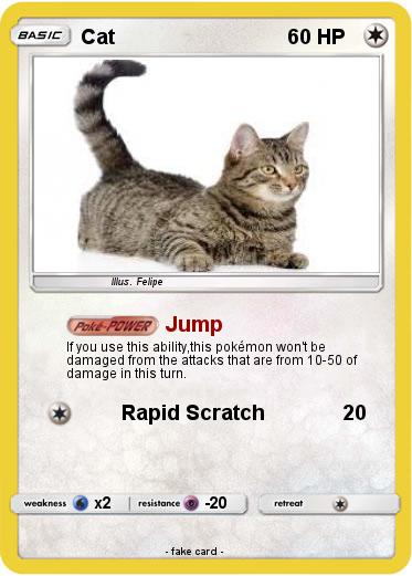 Pokemon Cat